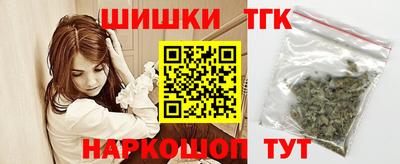 индика Тверь