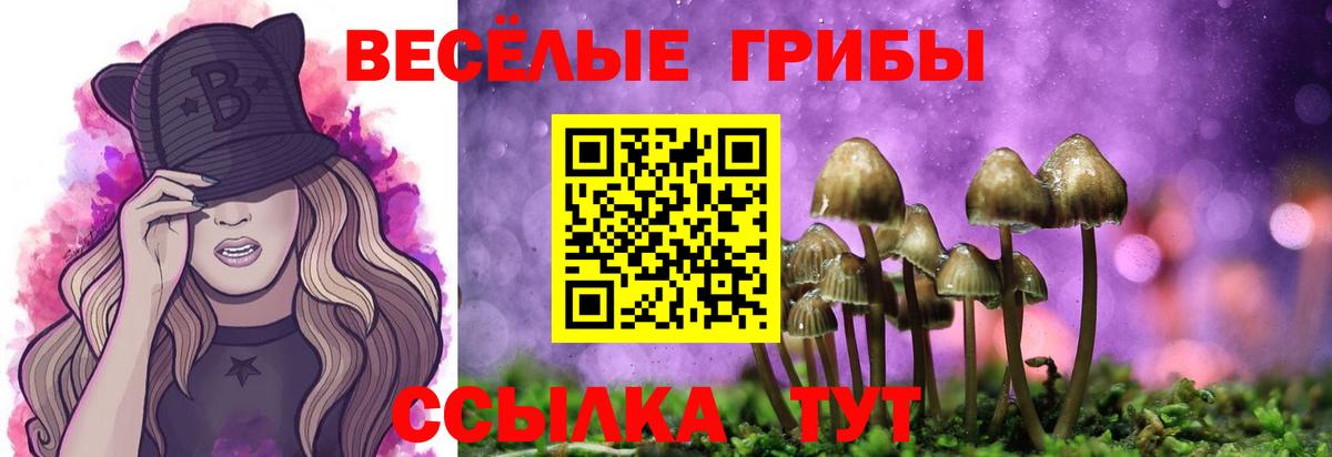 Орск  Галлюциногенные грибы Psilocybine cubensis  Вход с VPN 